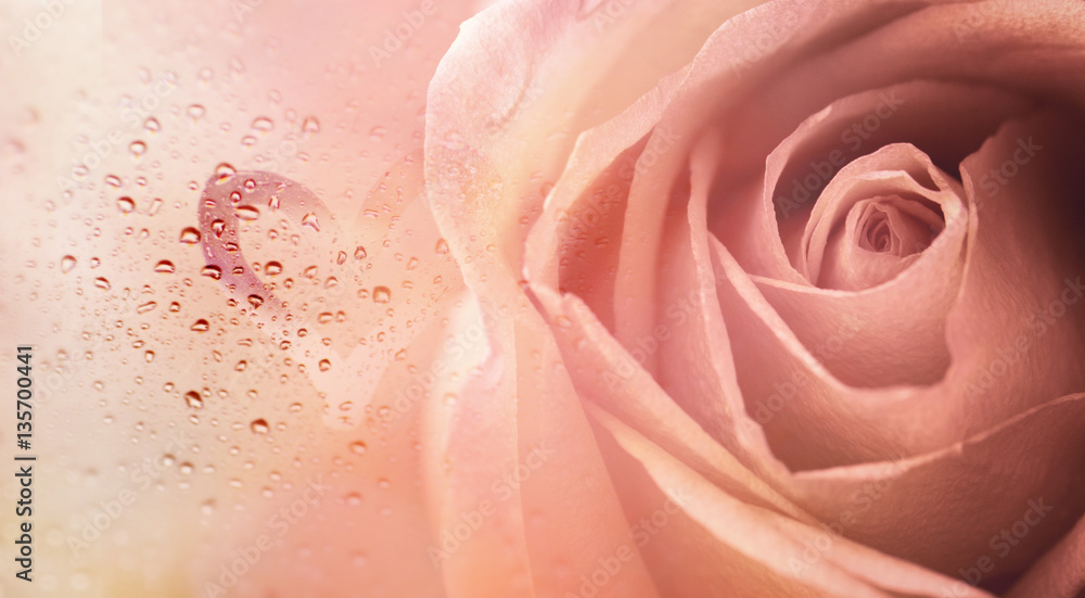 Roses,flower background for Valentine's day.View through the window of rainy day with selective focus and color toned Roses,flower background for Valentine's day.View through the window of rainy day with selective focus and color toned