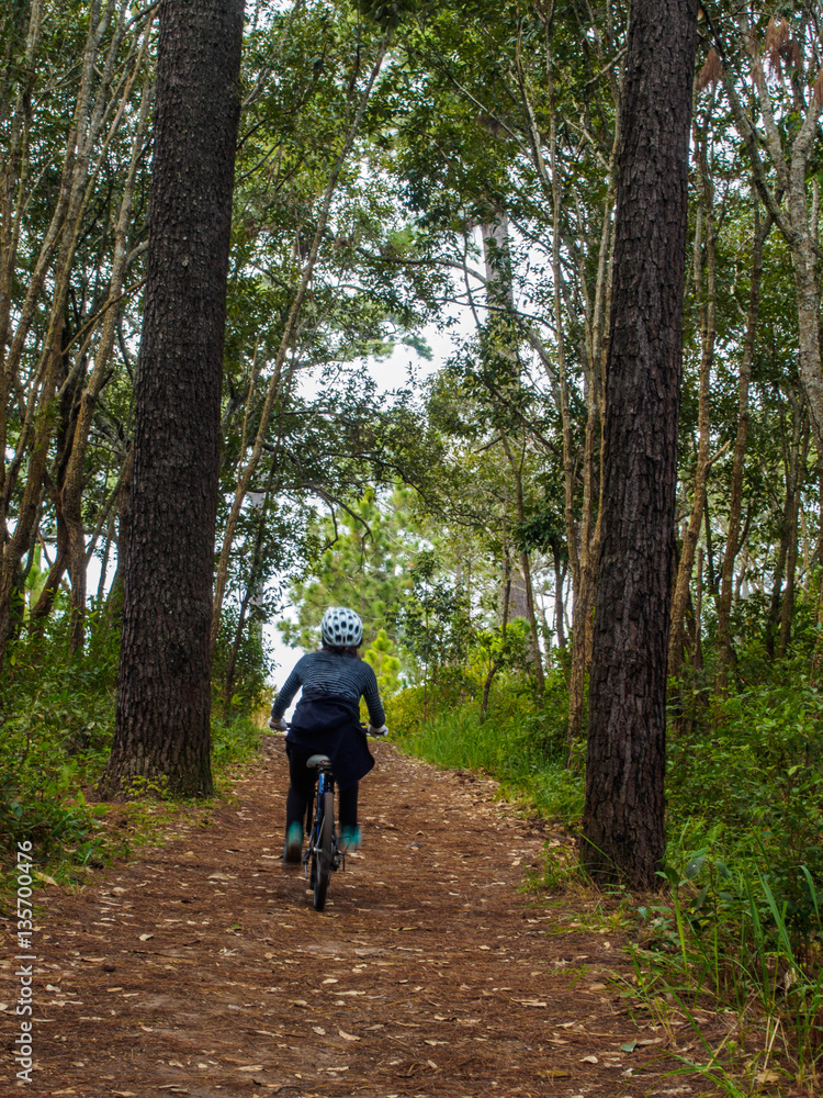 Obraz premium Woman cycling in a pine forest