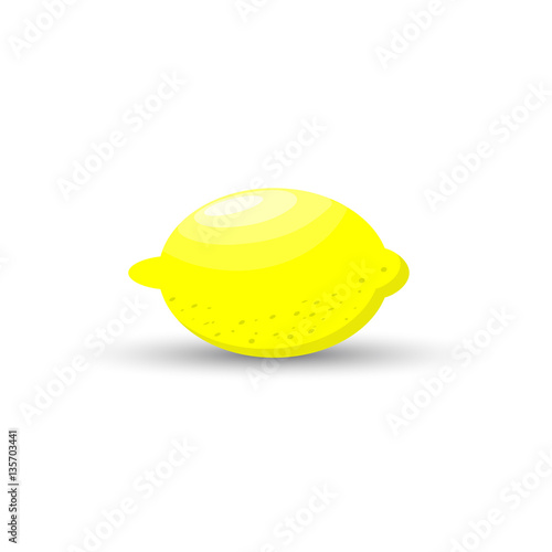 Lemon icon with shadow isolated on white background vector illustration