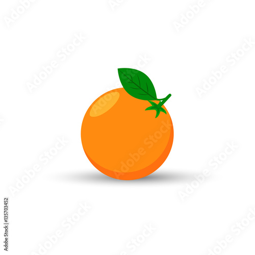 Orange fruit with shadow isolated on white background vector illustration
