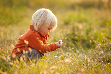 blonde child play with flowers in a park