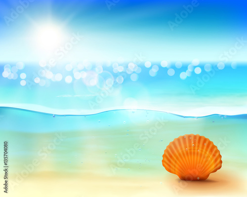 Shell in the sea. Vector illustration.