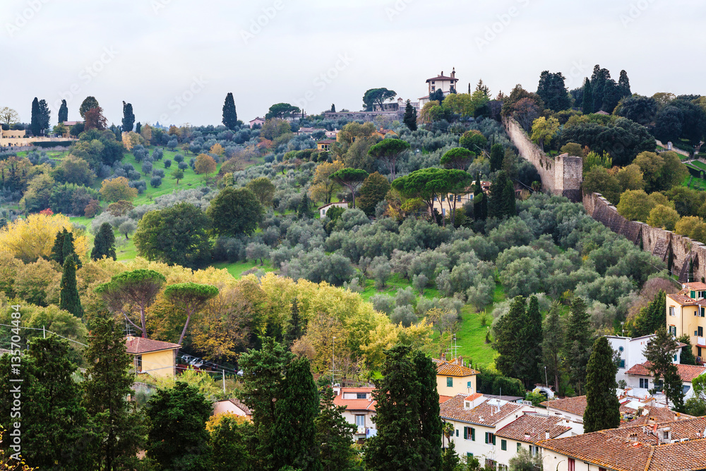 above view of gardens and wall of Giardino Bardini