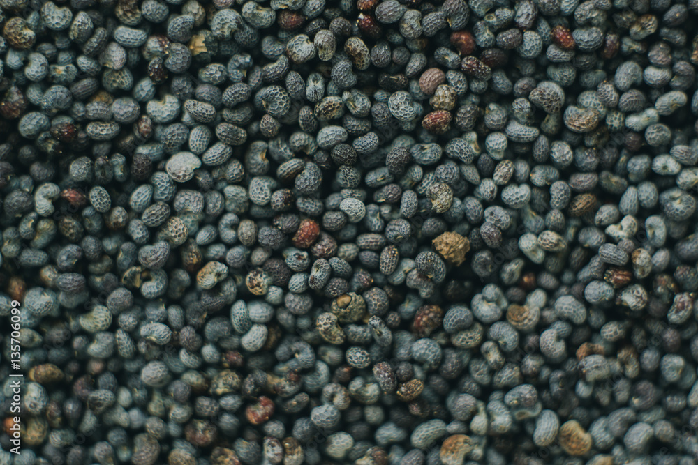 poppy macro poppy macro