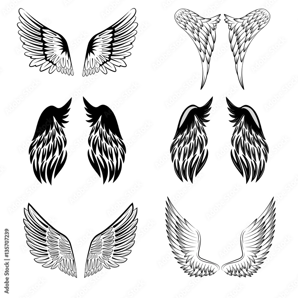 Fototapeta premium Black and white vector stylized heraldic bird wings, showing the two wings with feather detail