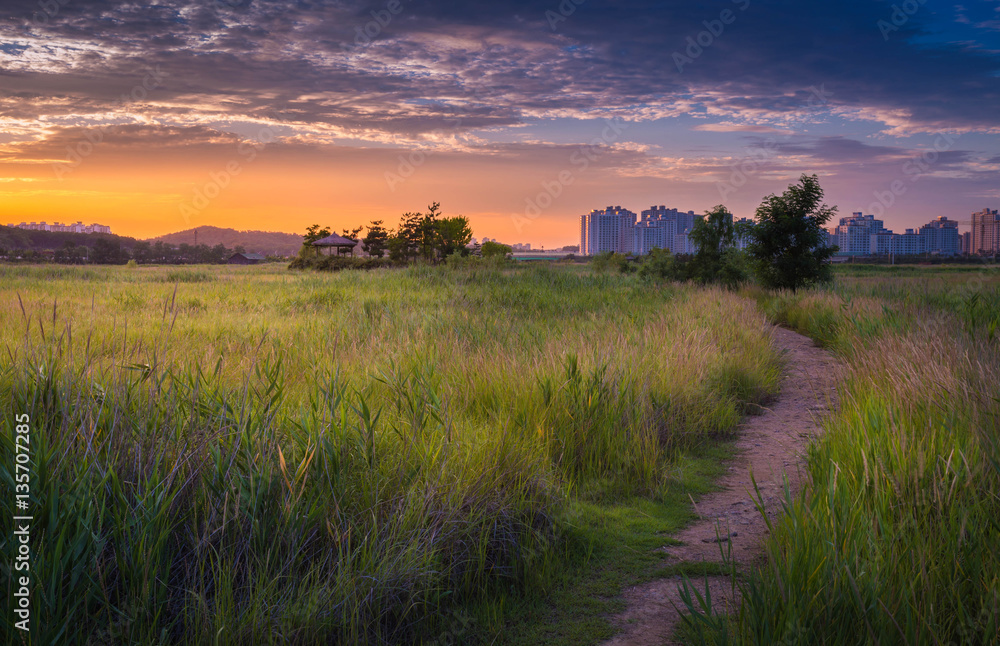 Fototapeta premium Beautiful landscape in South Korea,Sorae ecology wetland park