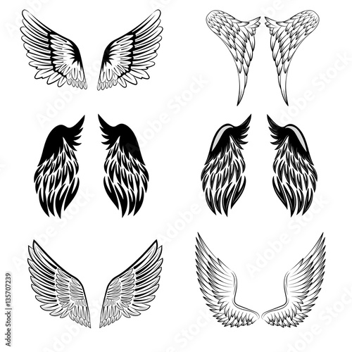 Black and white vector stylized heraldic bird wings, showing the two wings with feather detail