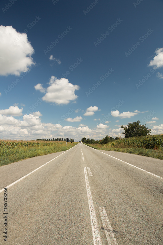 straight road thru fields in sunny day with cloudy blue sky, vertical