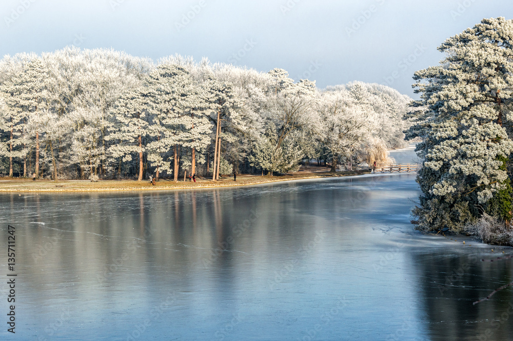 Fototapeta premium Wintersee. Winterteich.Schlosspark.