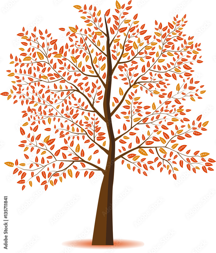 Autumn Tree.