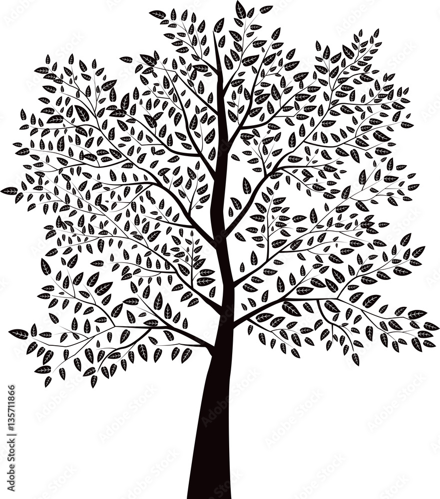 Obraz premium Tree on white background.