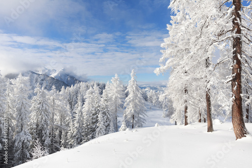 Alpenlandschaft im Schnee