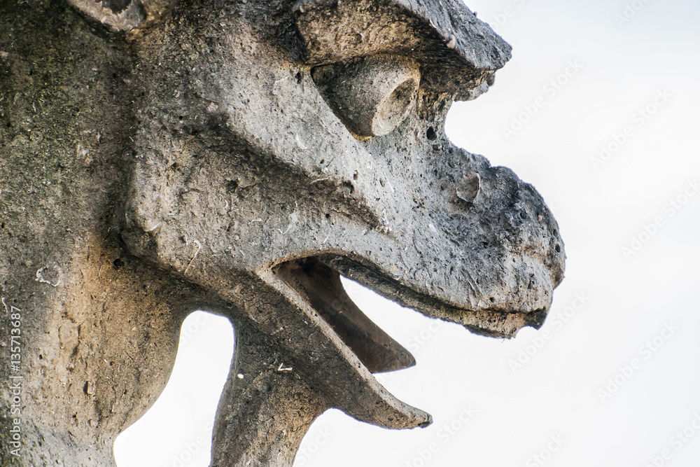 Notre Dame de Paris: Famous Stone demons gargoyle and chimera. Notre Dame de Paris: Famous Stone demons gargoyle and chimera.
