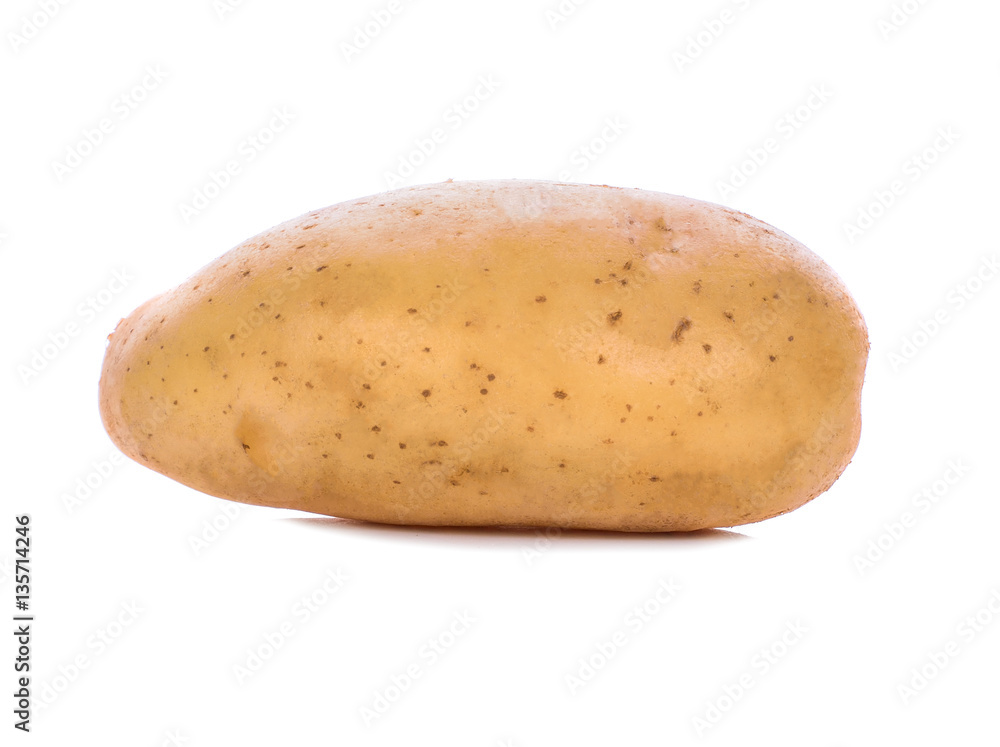 Single fresh potato isolated on white background Single fresh potato isolated on white background