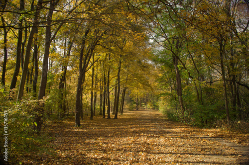 Schlosspark. Herbst. Schloss. Burg. Herbs im Wald.