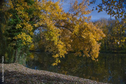 Schlosspark. Herbst. Schloss. Burg. Herbs im Wald.