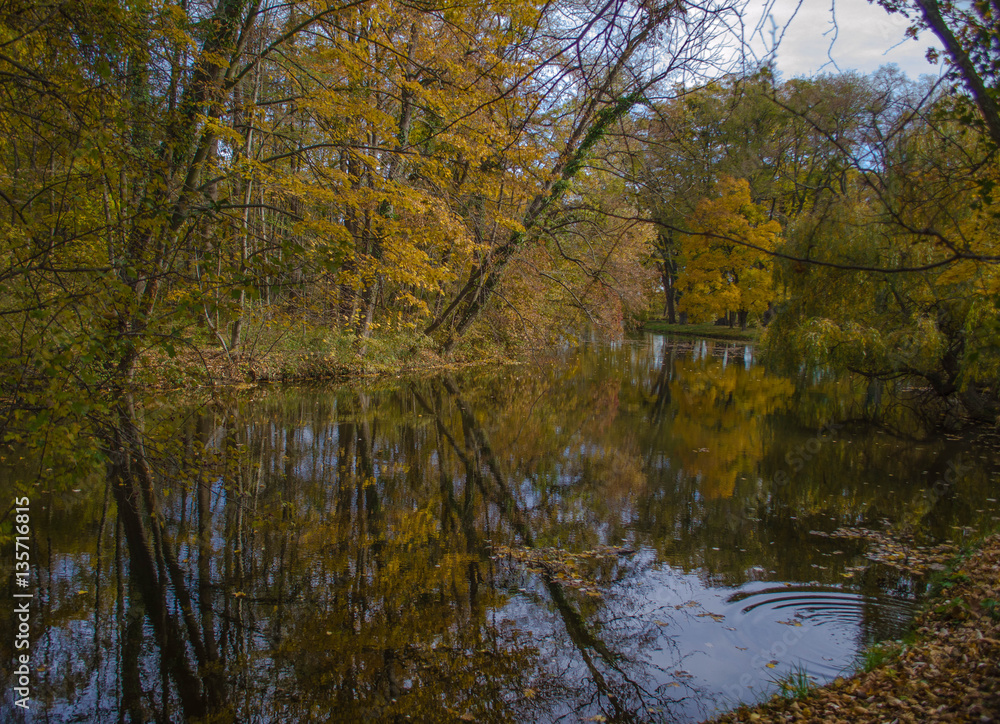 Schlosspark. Herbst. Schloss. Burg. Herbs im Wald.