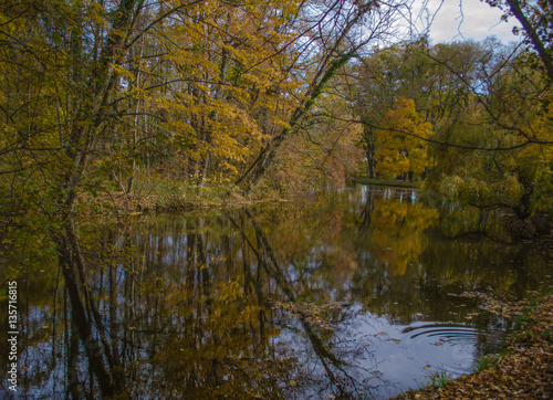 Schlosspark. Herbst. Schloss. Burg. Herbs im Wald.