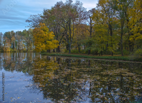 Schlosspark. Herbst. Schloss. Burg. Herbs im Wald.