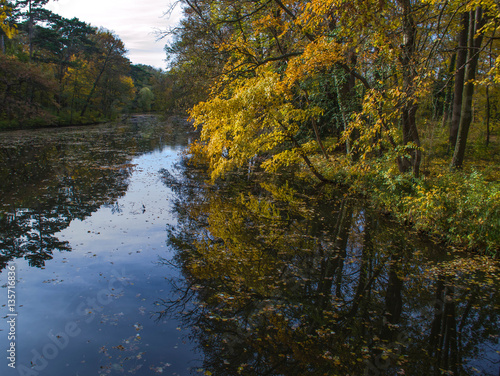 Schlosspark. Herbst. Schloss. Burg. Herbs im Wald.