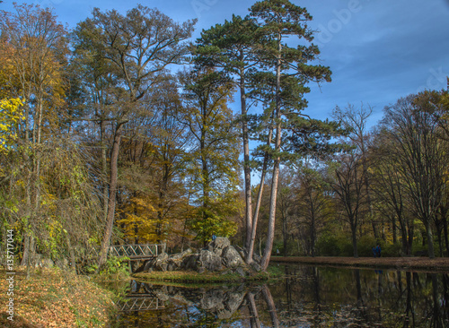 Schlosspark. Herbst. Schloss. Burg. Herbs im Wald.