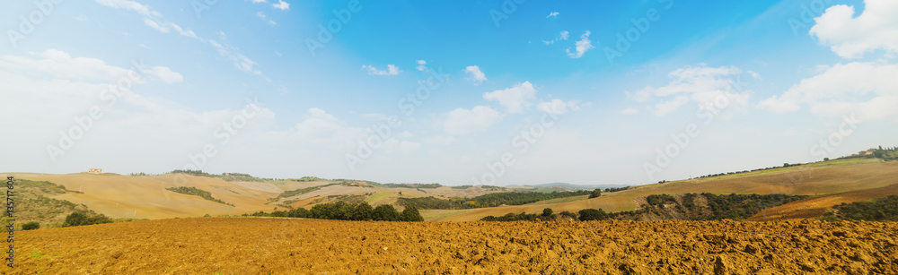 Panoramic view of a brown field