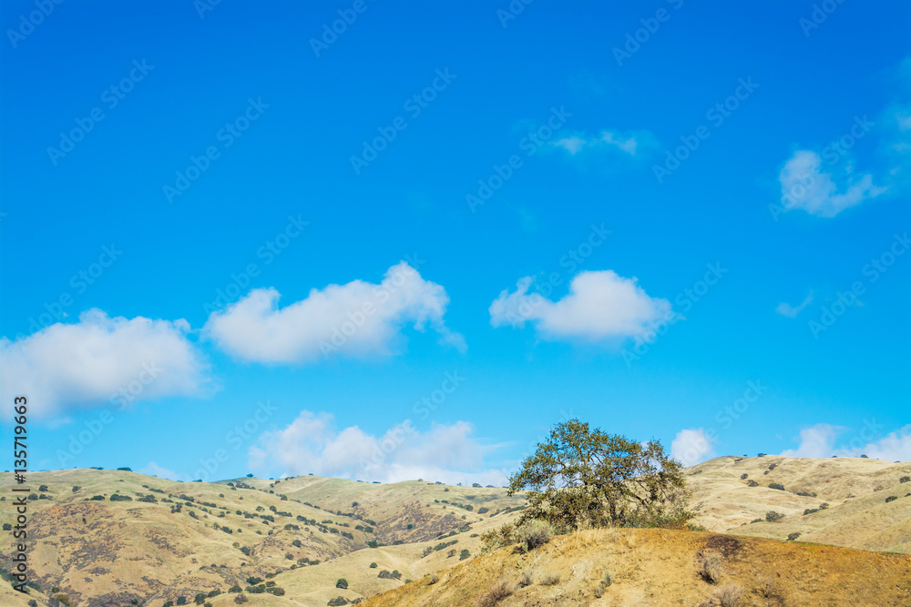 yellow hills in California