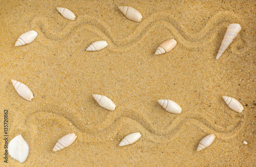 Bright Background with Different Sea Shells