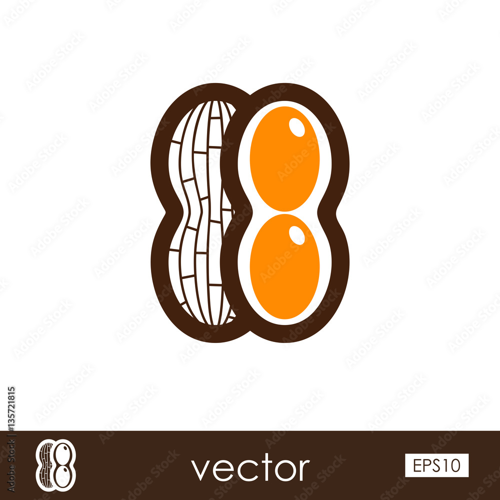 Fototapeta premium Peanut outline icon. Vegetable vector