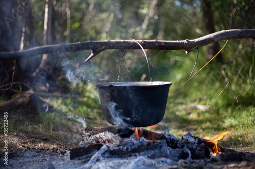 Pot on a fire in the forest