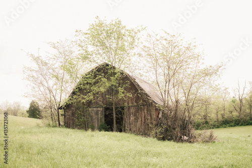 Farmside photo