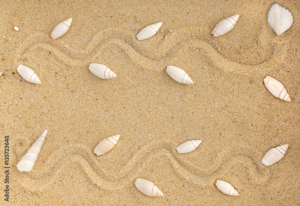 Bright Background with Different Sea Shells Bright Background with Different Sea Shells