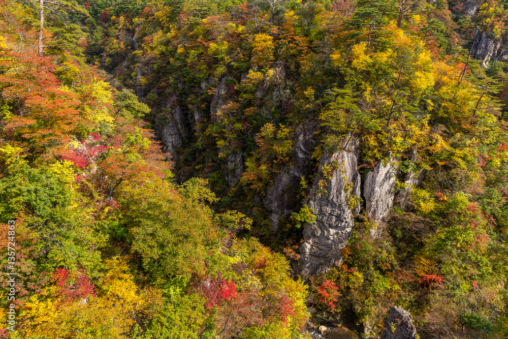 Naruko canyon in Japan Naruko canyon in Japan
