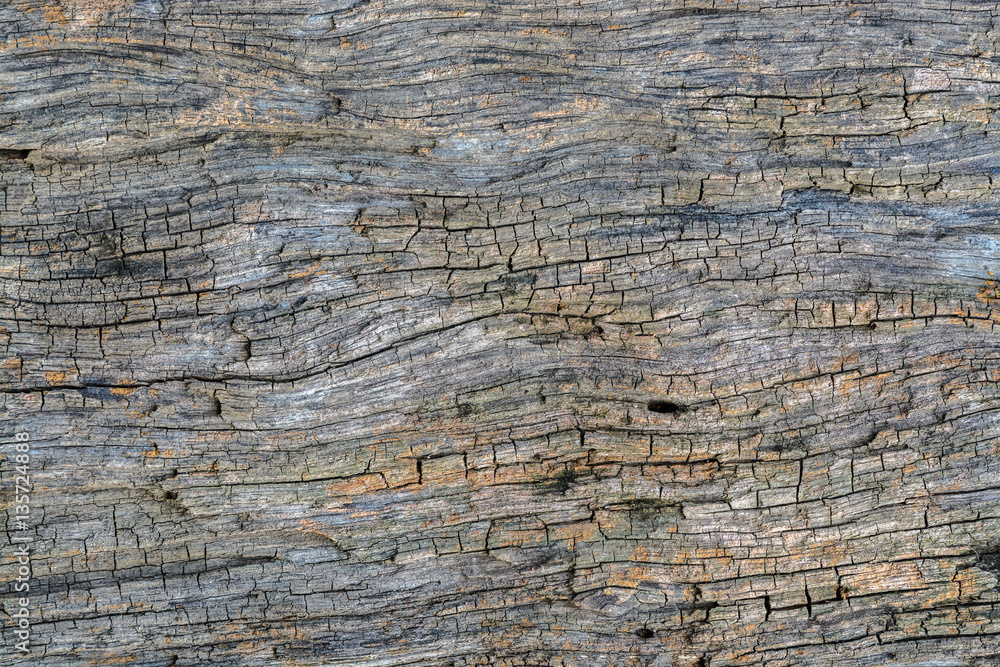 Old natural wooden shabby background close up. Old natural wooden shabby background close up.