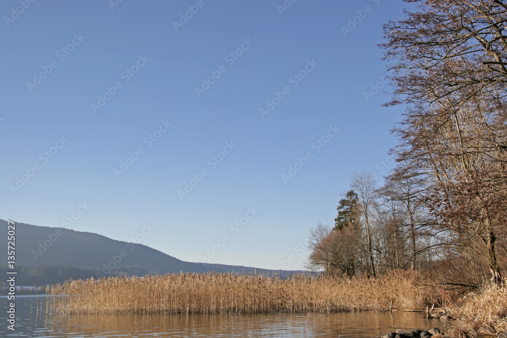 Schilfufer am Tegernsee Schilfufer am Tegernsee