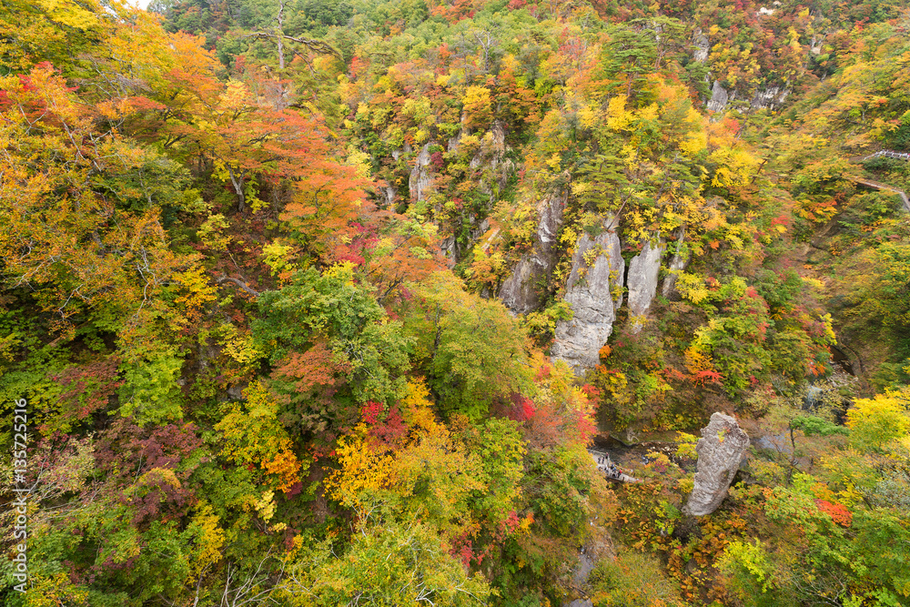 Naruko canyon in Japan
