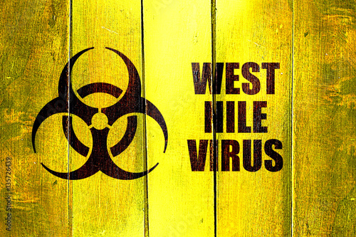 Cuadro en lienzo Vintage West nile virus on a grunge wooden panel
