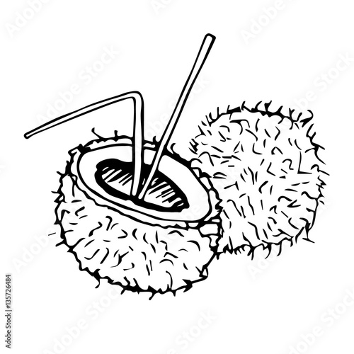 Coconut with straw poll and milk