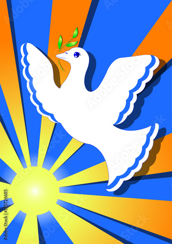 dove of peace in the sun