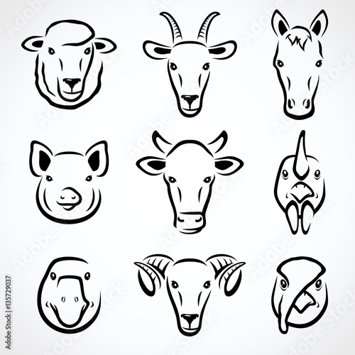 Farm animals set. Vector