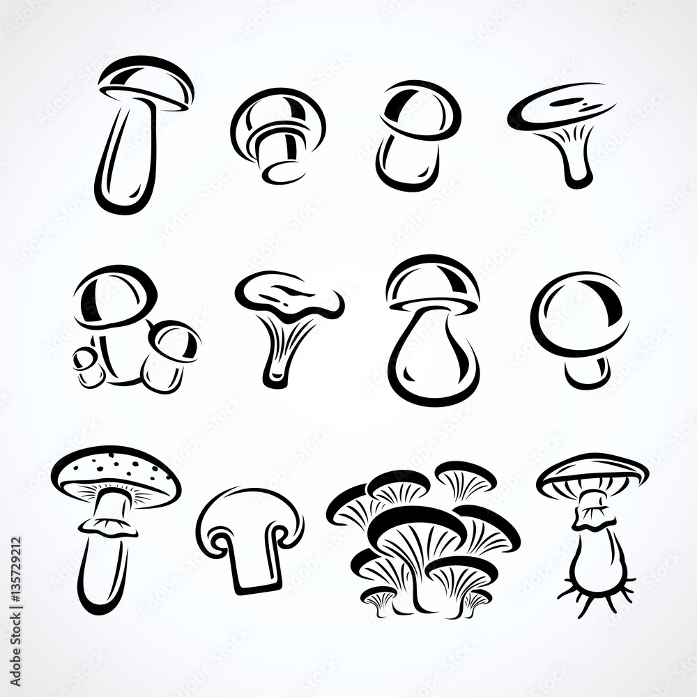 Mushroom set. Vector Mushroom set. Vector