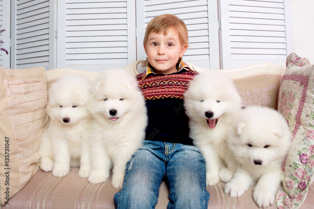 smiling little boy three years old playing with white puppy of Samoyed in studio