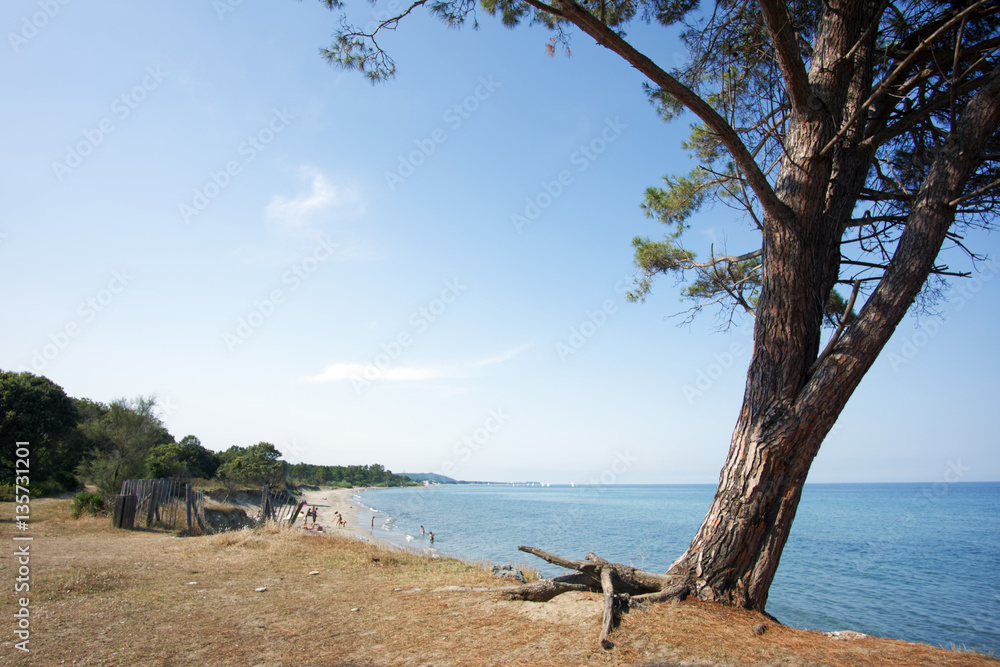 plage de Costa verde en haute Corse