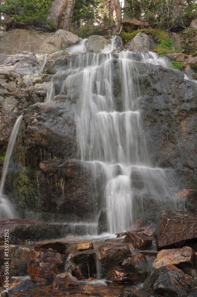Fototapeta premium Forest Waterfall
