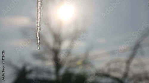 Wallpaper Mural Icicles melt through the window as the sun rises in the background, filtered through trees in a forested area next to a suburban home Torontodigital.ca