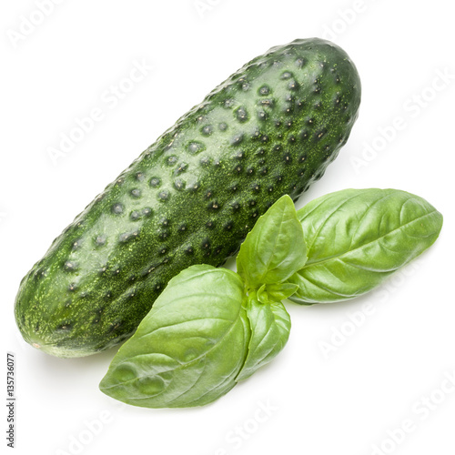 Cucumber vegetable and basil leaves isolated on white background