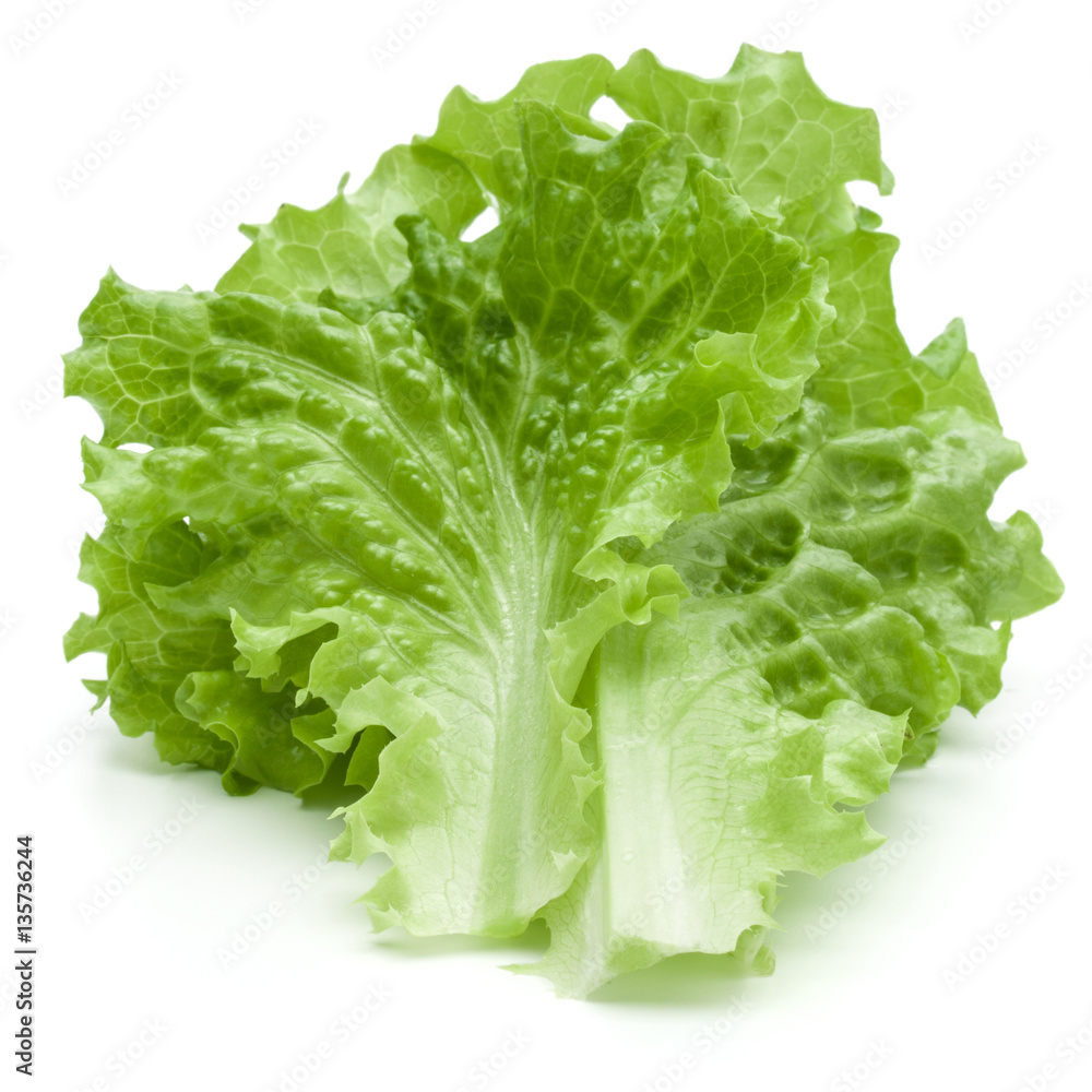 fresh green lettuce salad leaves isolated on white background fresh green lettuce salad leaves isolated on white background