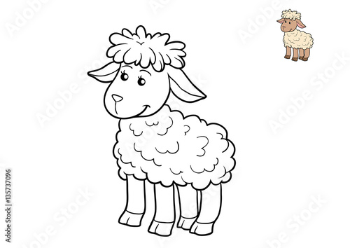 Coloring book, Sheep