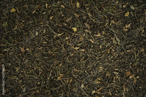 Leaf litter texture