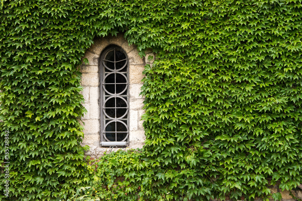 Weedy wall of ancient church with small gothic window. Weedy wall of ancient church with small gothic window.